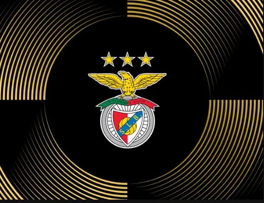 클럽월드컵 조편성 일정