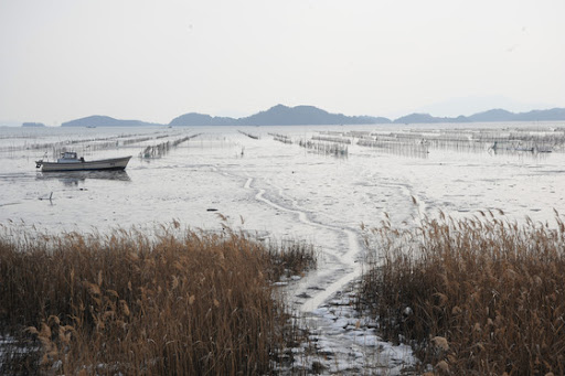 [국내] 가족과 겨울여행하기 좋은 곳-추억과 즐거움을 함께 만드는 여행지
