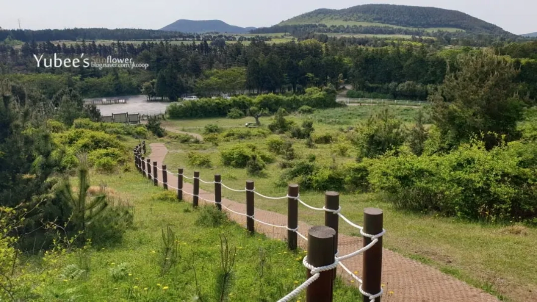 아부오름 정상 올라가는 길