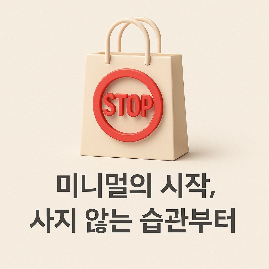 미니멀의 시작, 사지 않는 습관부터