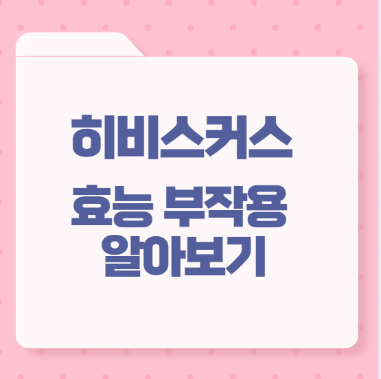 히비스커스 효능 부작용 알아보기