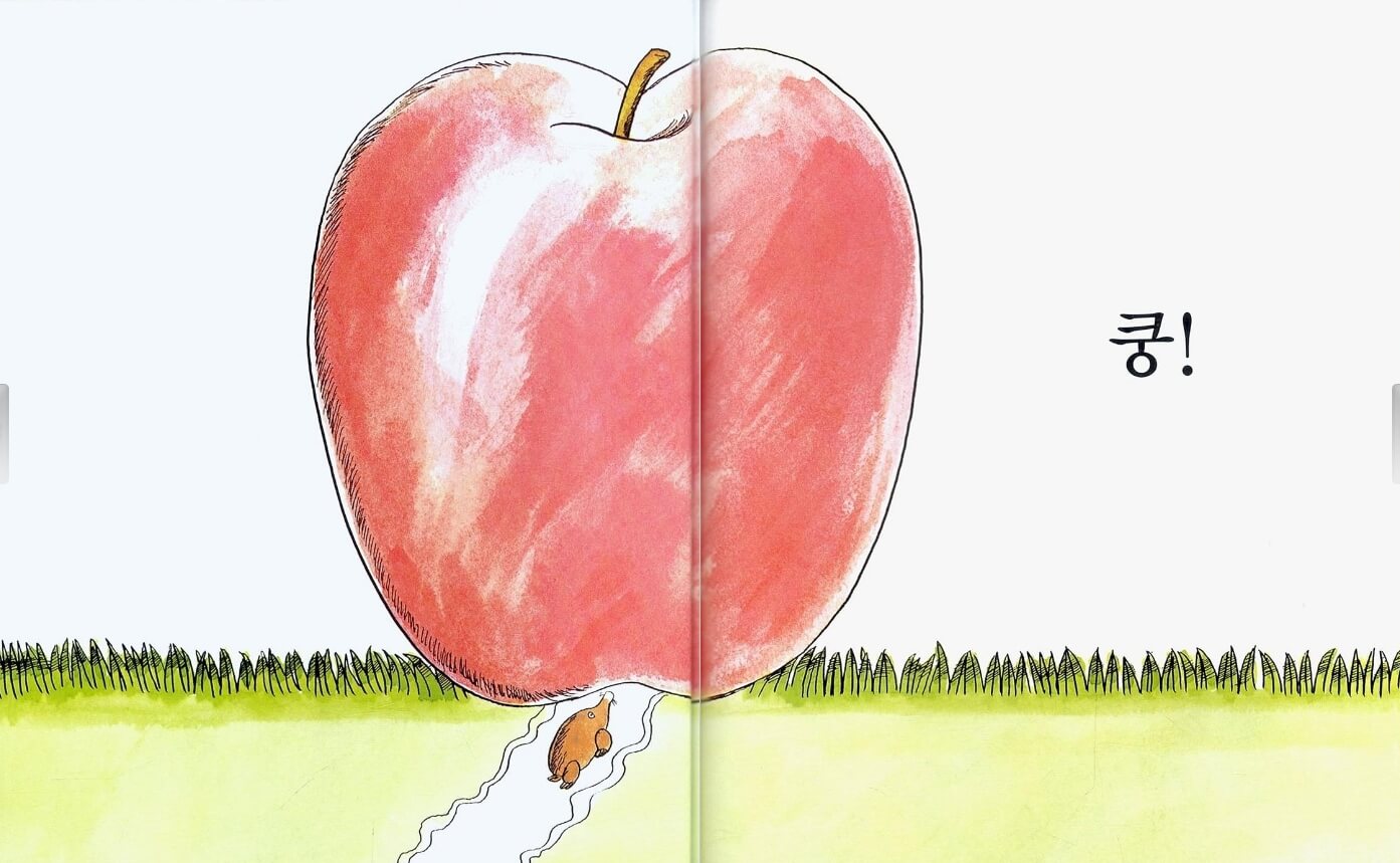 영유아 그림책 추천