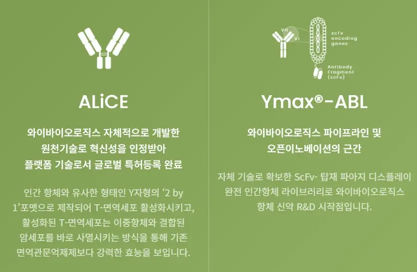 와이바이오로직스 공모주