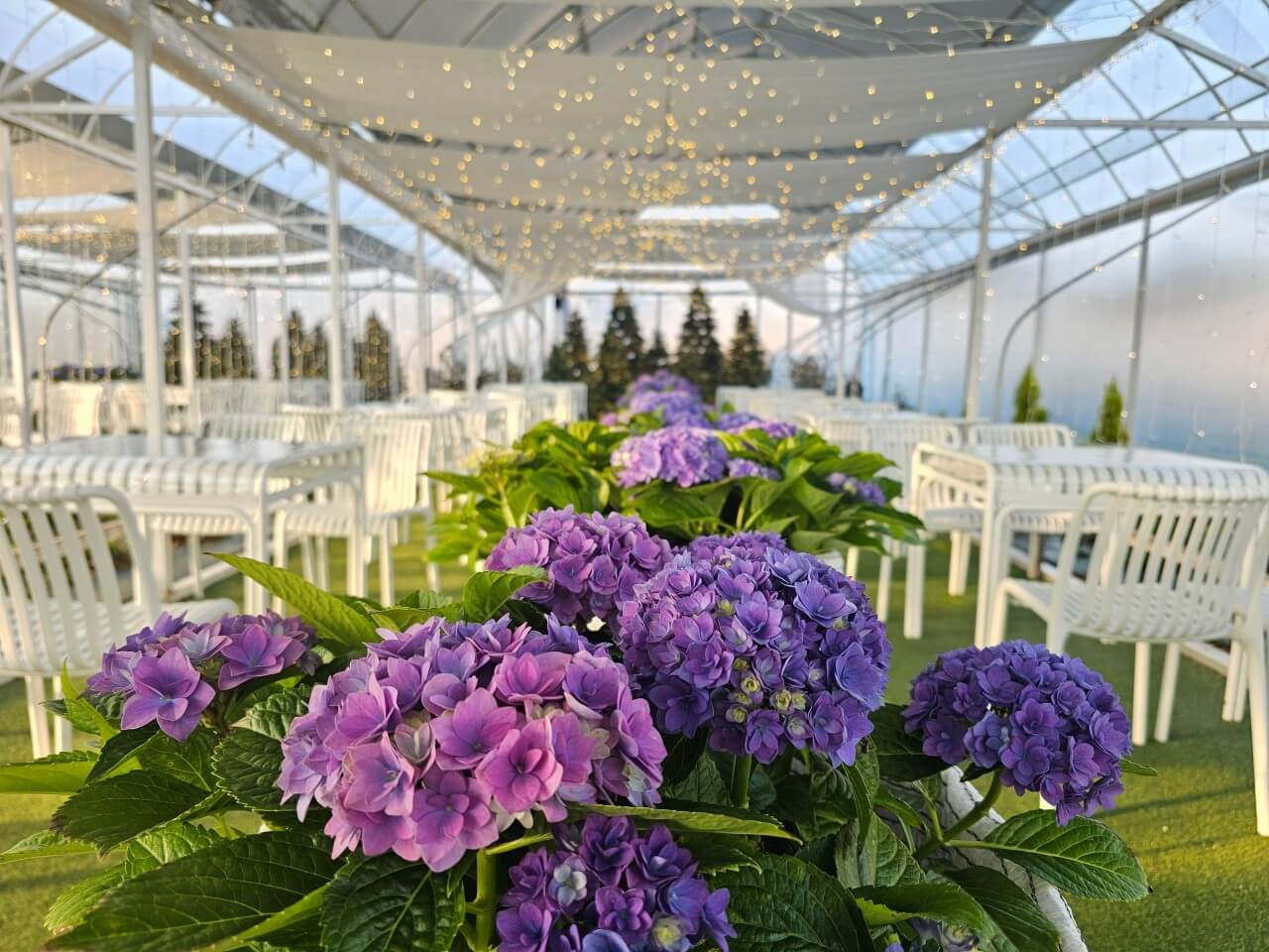 오늘N 대한민국 보물정원 강원 춘천 유기농 카페 오늘N 2503회