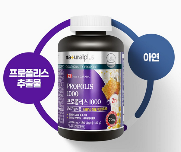 프로폴리스-영양제