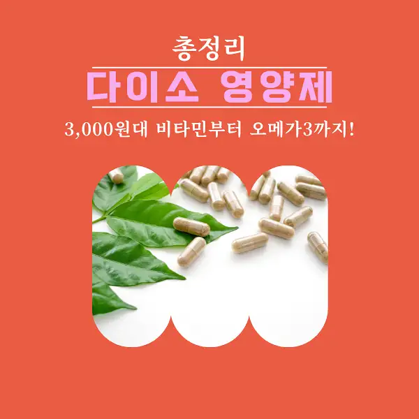 다이소 영양제