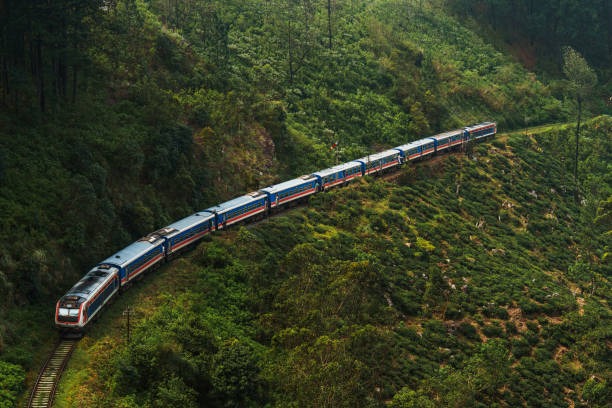 기차표-취소표-풀리는-황금시간