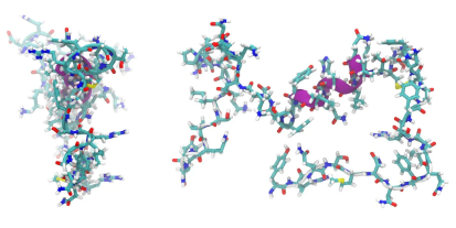 펩타이드(단백질 기반) 의약품의 발전과 차세대 치료 전략