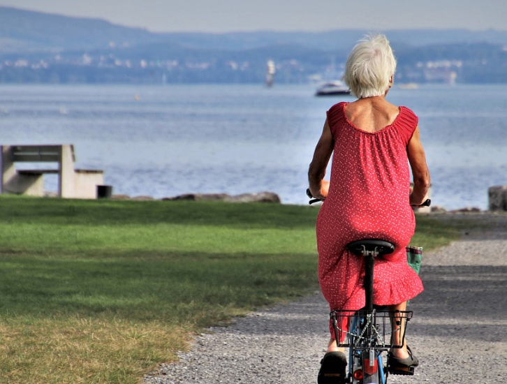 노인성-우울증-불안-스트레스-고기-세로토닌-전두엽위축