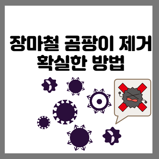 장마철 곰팡이 제거 확실한 방법