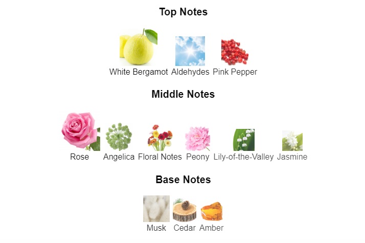 이지아 노트정보