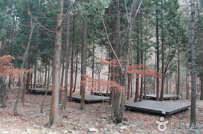 남해편백 자연휴양림