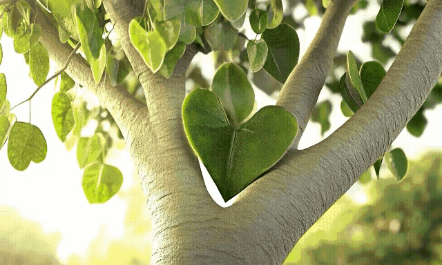 행운.돈벼락.금전운