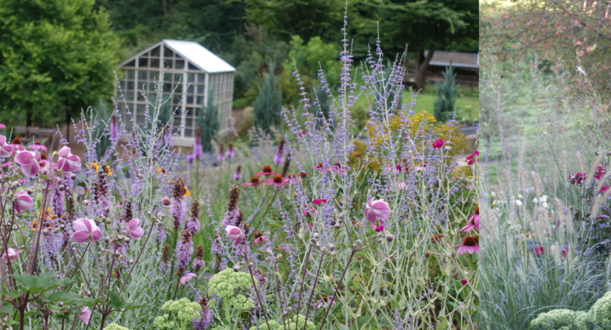 특색있고 아름다운 민간 정원 30선 추천 여행 - 12. 인제 찍박골 정원