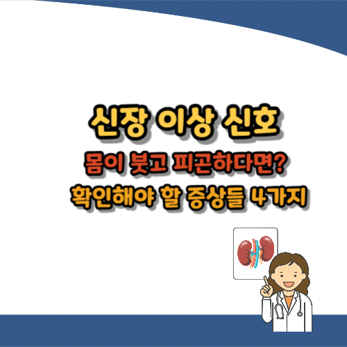 신장 이상 신호 4가지