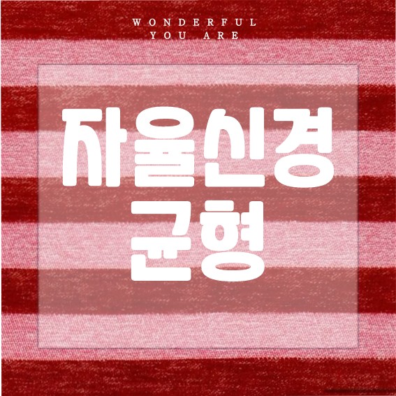 자율신경 균형 완전 분석: 건강의 핵심 키워드