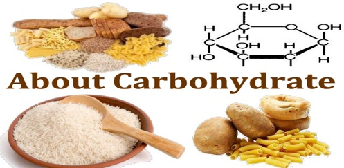 탄수화물사이클링