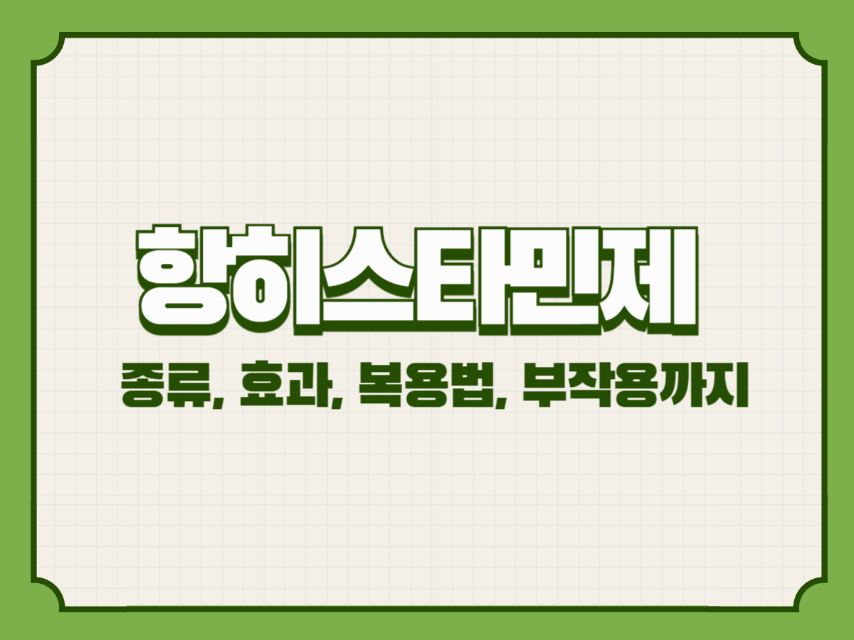 항히스타민제 완전정리 – 종류, 효과, 복용법, 부작용까지