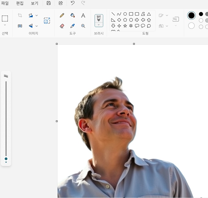 사진의 배경 제거됨