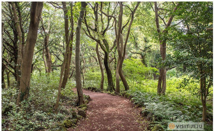 제주도 가볼만한곳