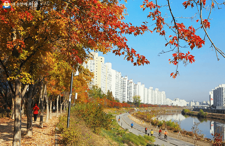 서울 단풍 명소 