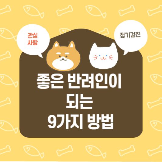 좋은반려인이되는방법