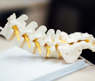 만성요통 원인 초기 증상 예방 운동법