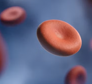 빈혈 증상 원인 치료 방법