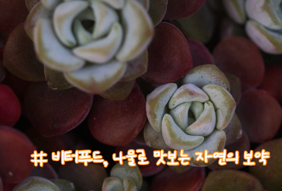 비터 푸드, 나물로 맛보는 자연의 보약