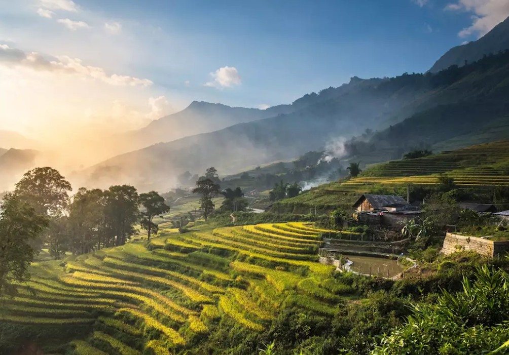 베트남 사파의 계단식 논 풍경