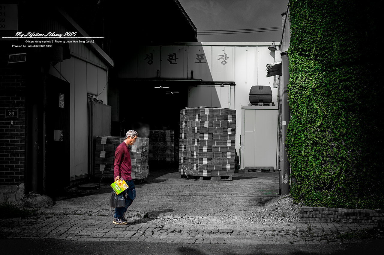 #대전 #거리 #행인 #오정동