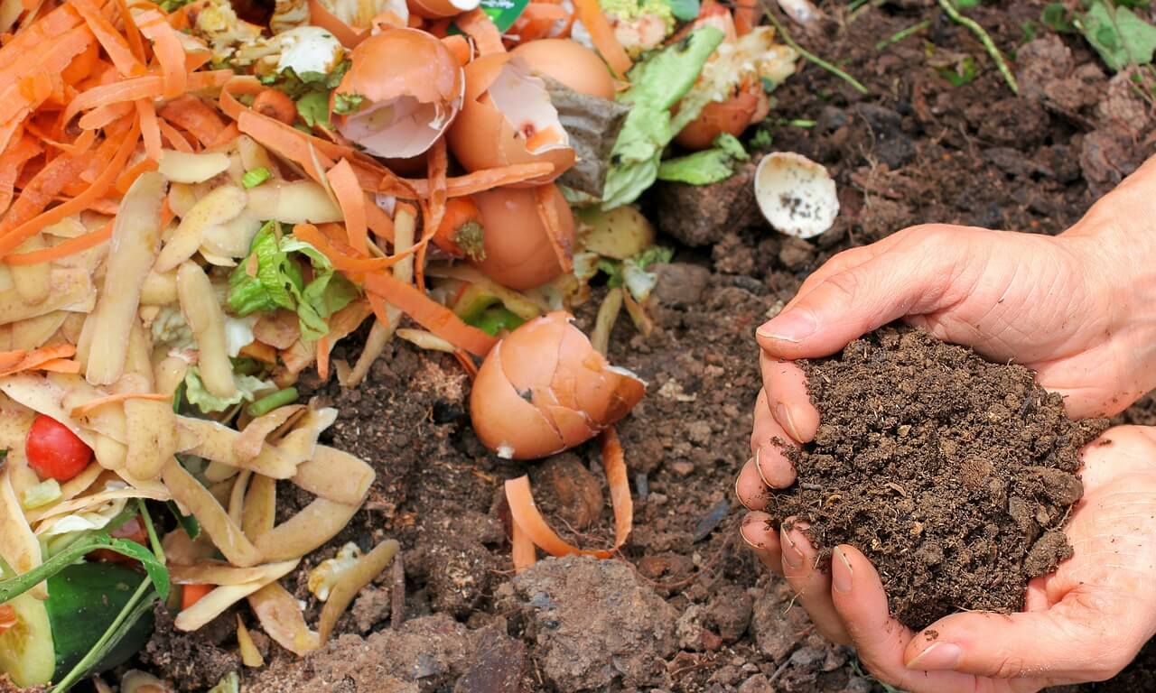 바이오차(Biochar) 탄소 저장이 가능한 토양개량제