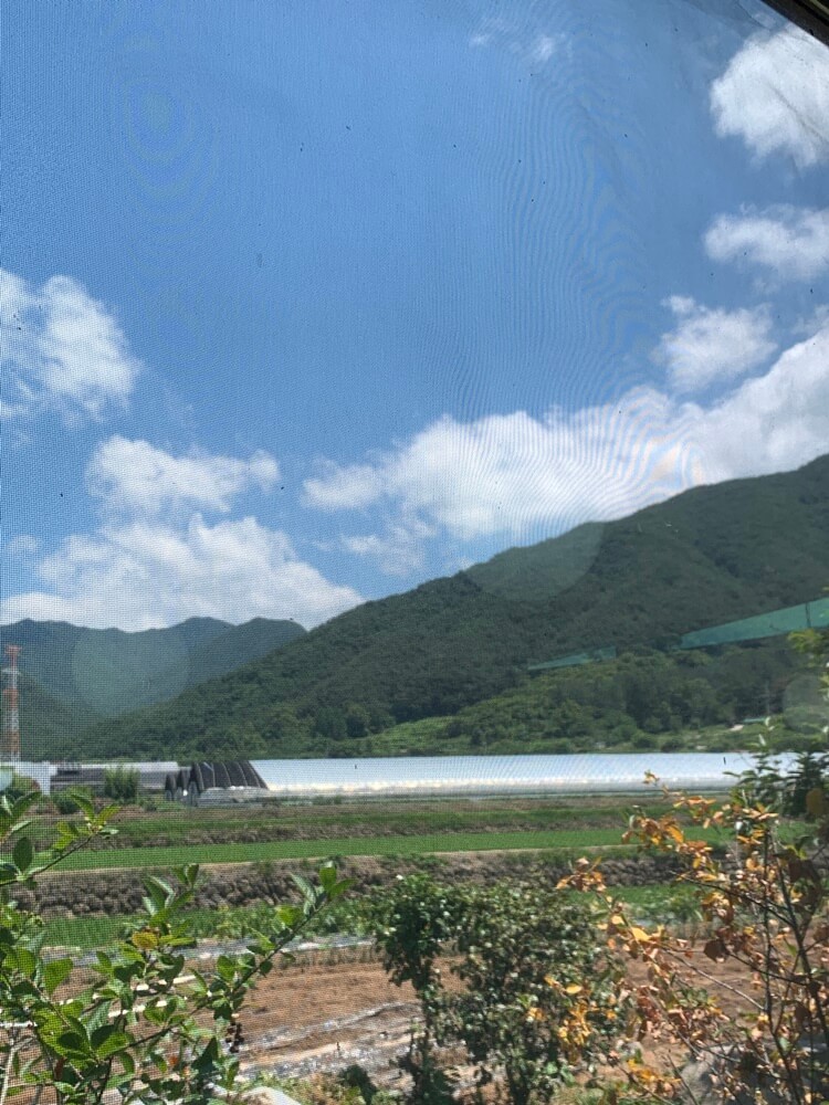 내부에서 보는 바깥 뷰