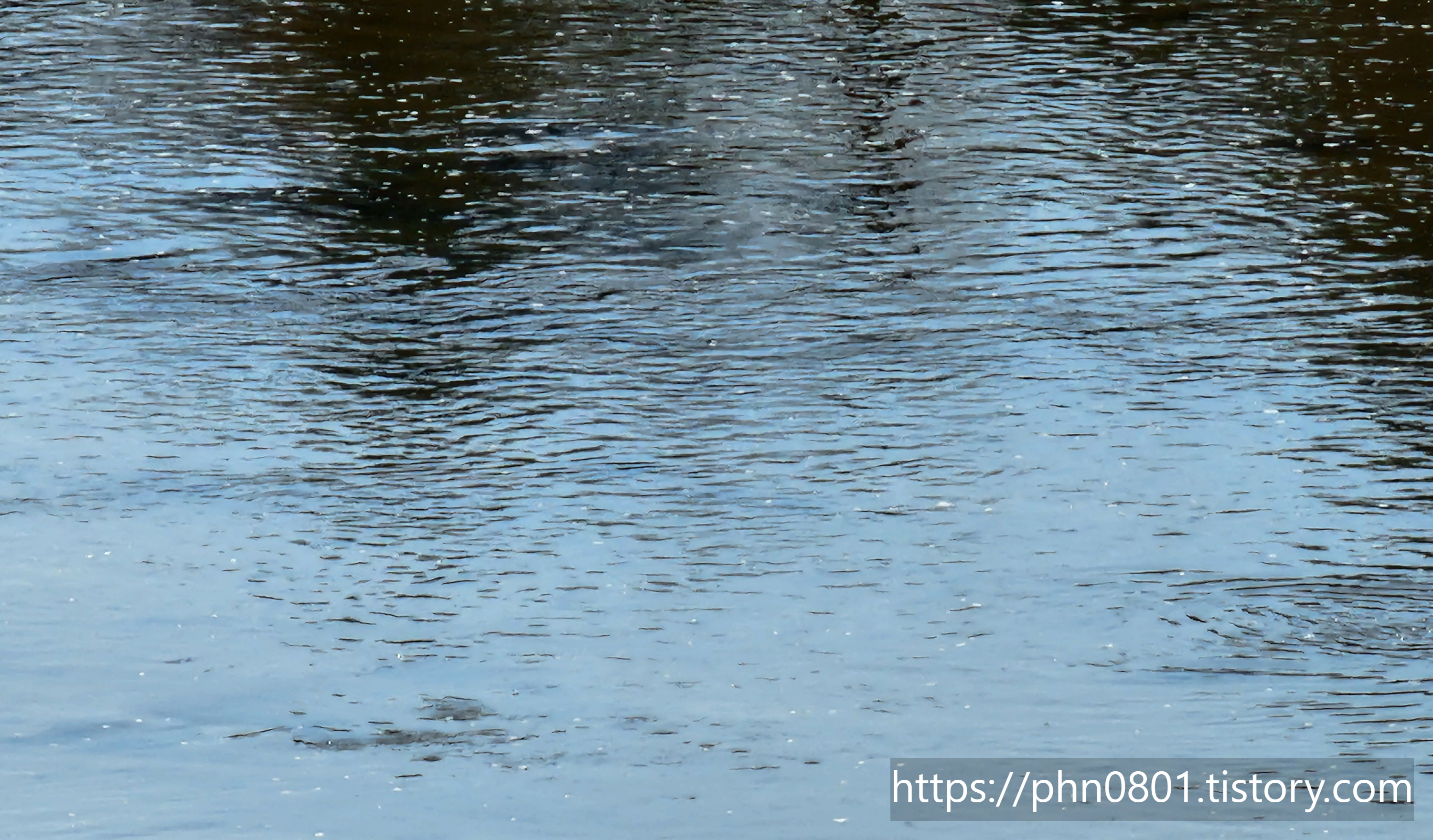 Alt 속성 문제 해결 설명 이미지