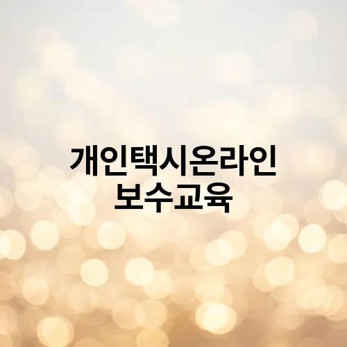 개인택시온라인 보수교육