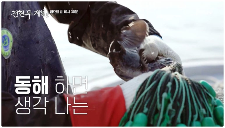 전현무계획2 강릉