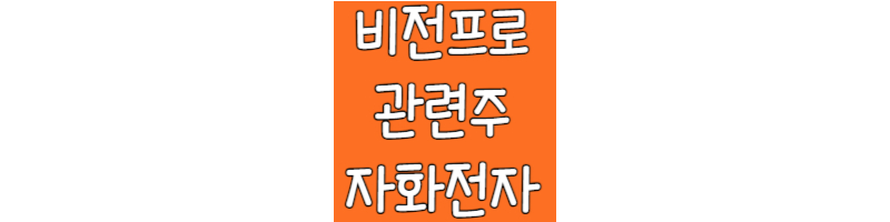 비전프로-관련주-자화전자