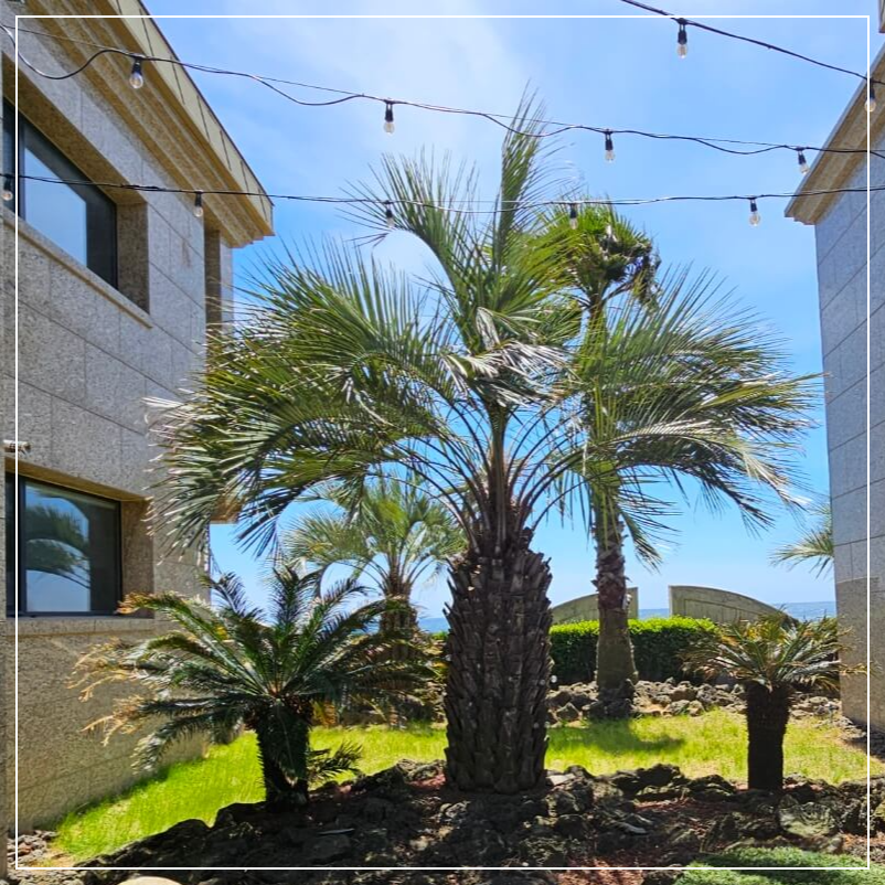 제주 성산오션캘러리 리조트 타운하우스 잔여세대 분양