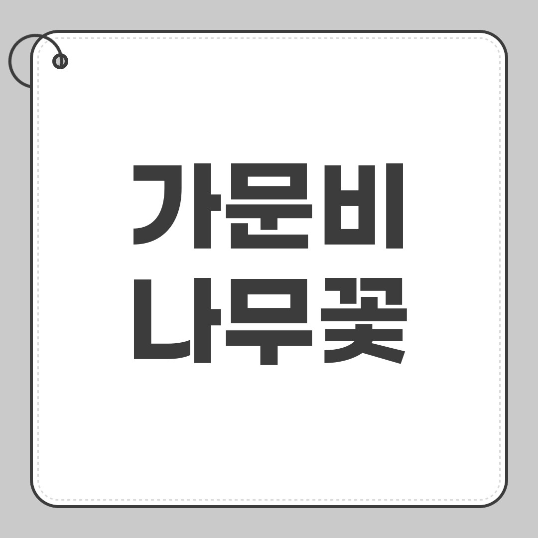 가문비나무꽃