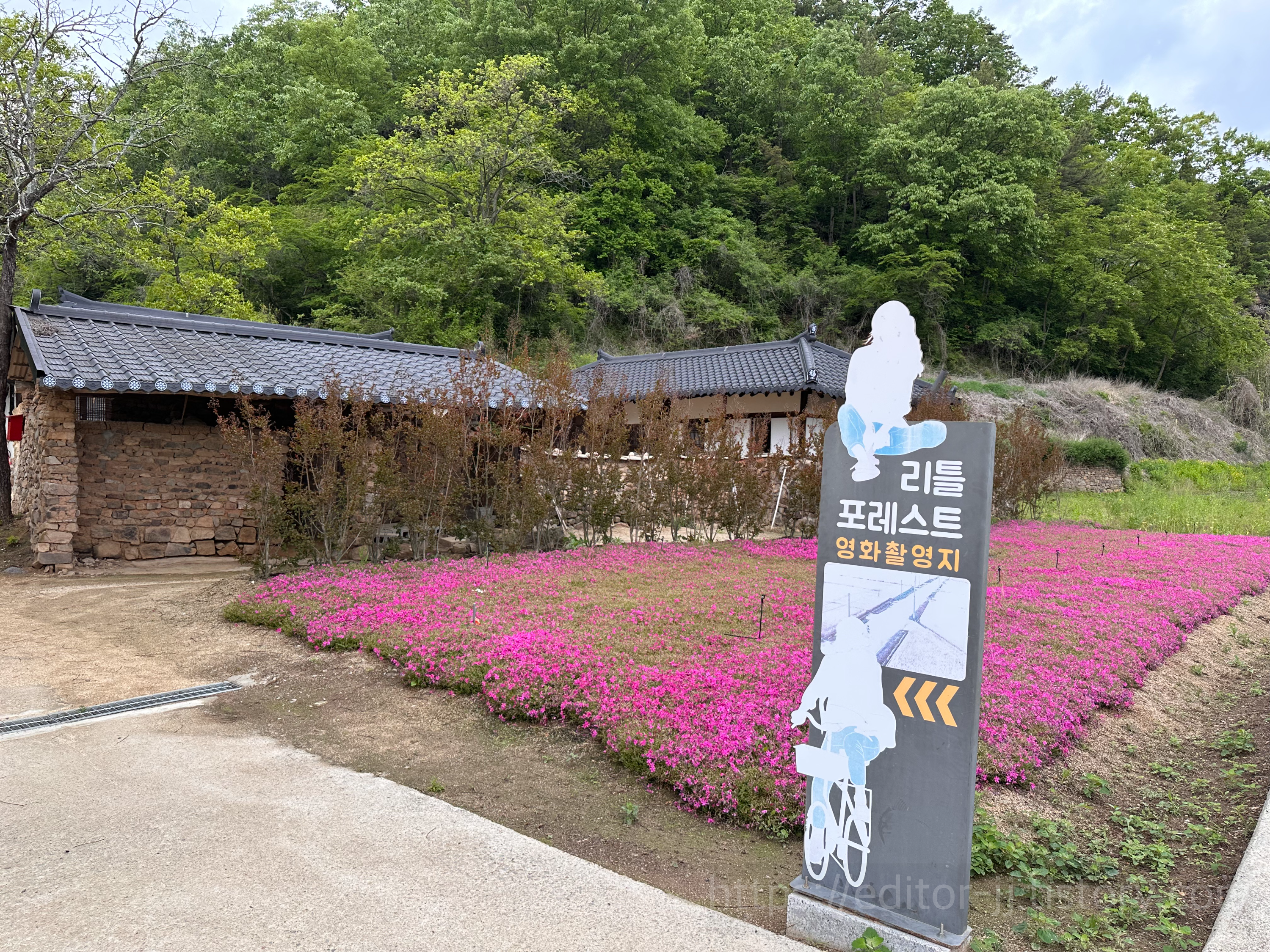 영화[리틀포레스트]촬영지 주변경관 : 촬영지로 가는 길을 안내하는 입간판들