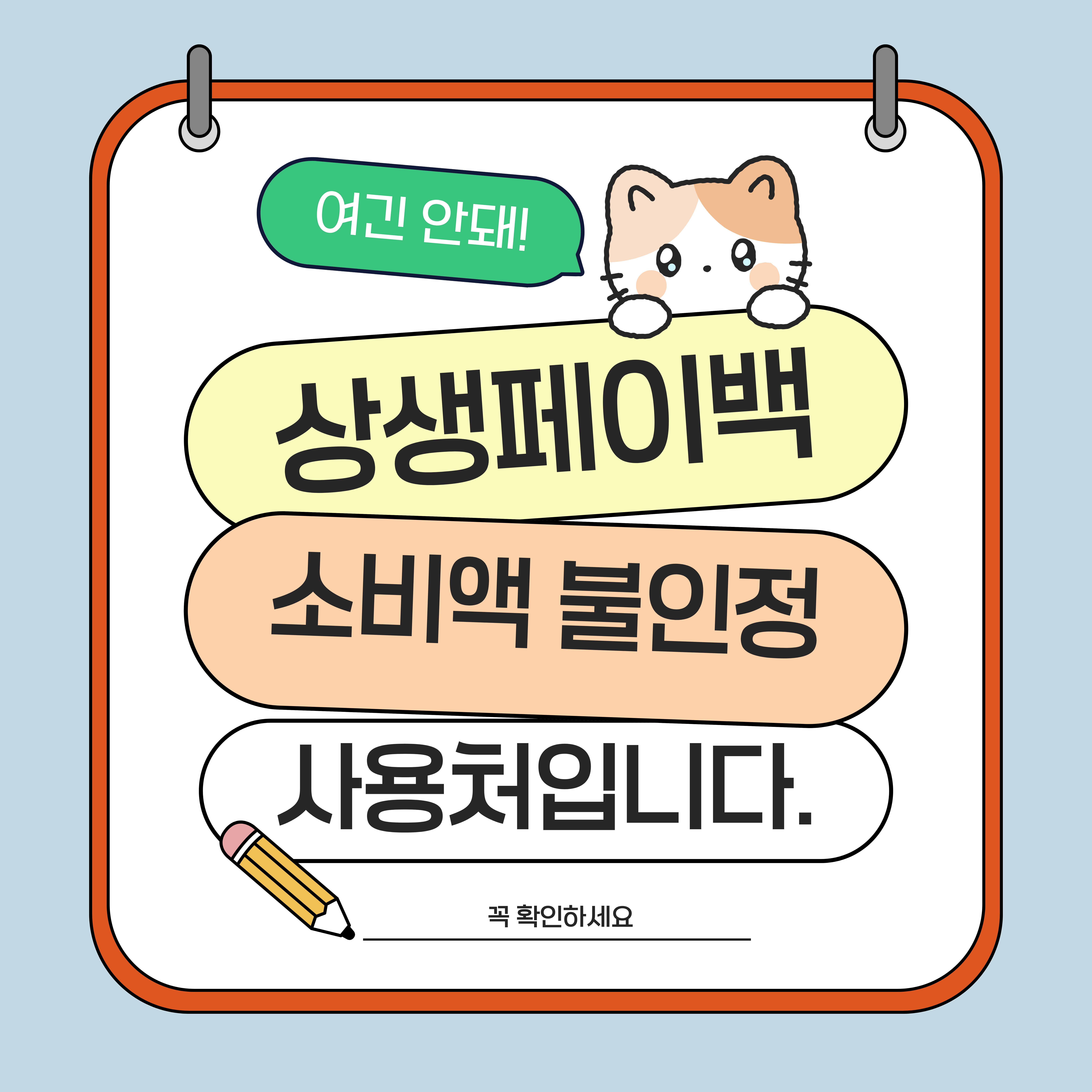 소비액 불인정 사용처
