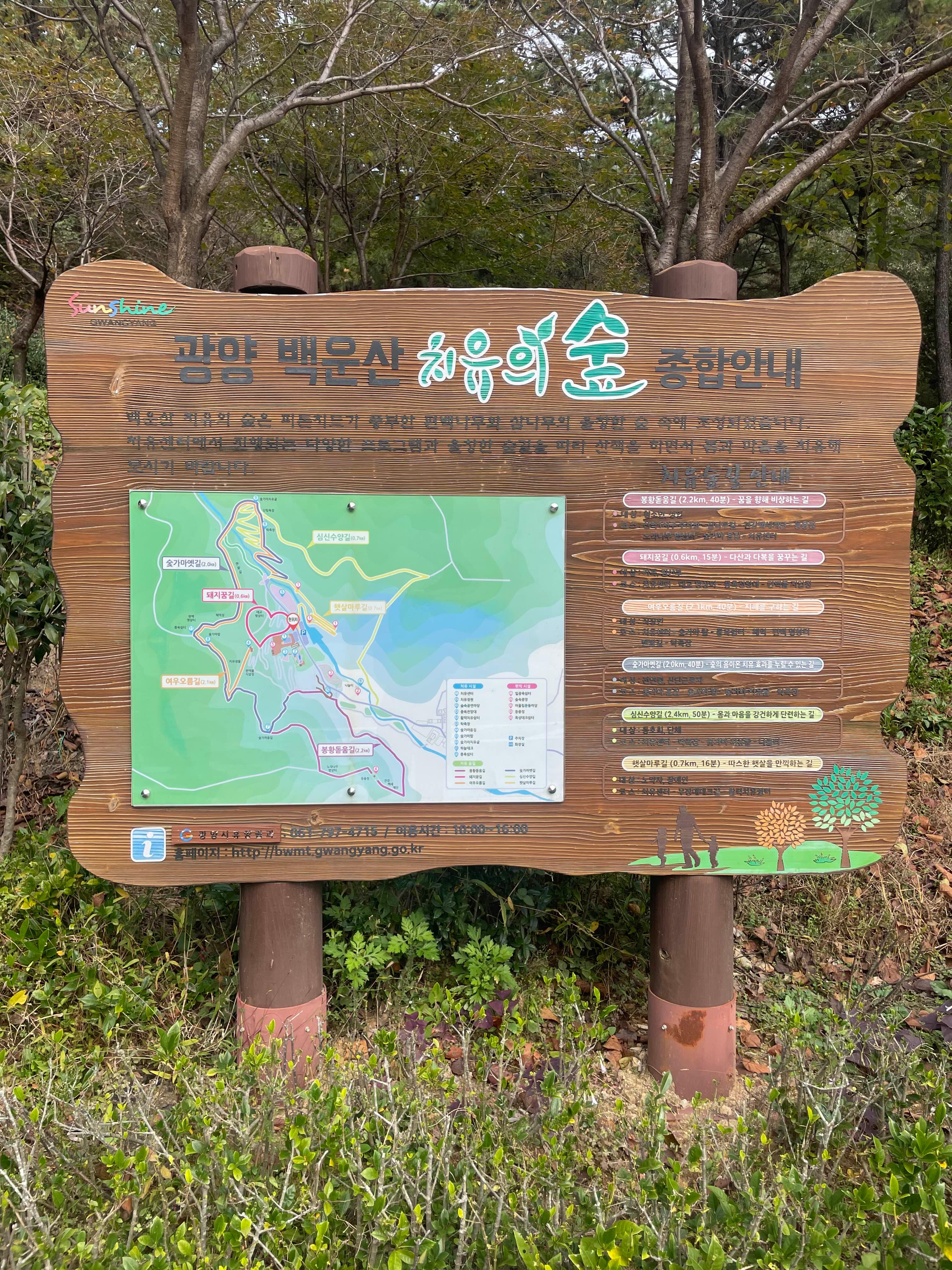 백운산 치유의 숲 추천! 힐링과 체험 예약 방법 정리