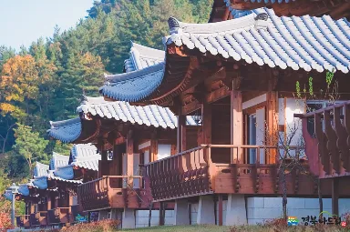 낙동강 회상나루3