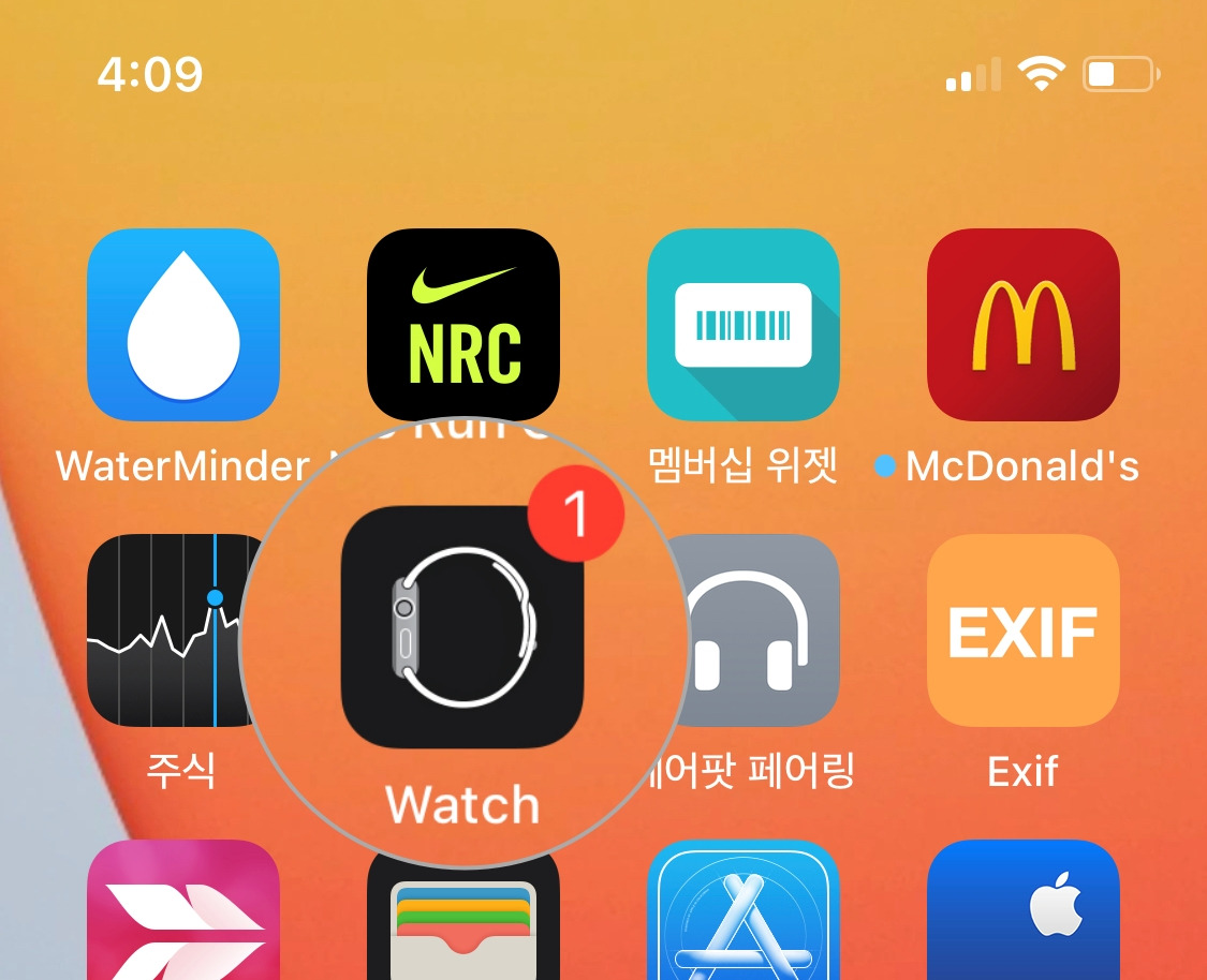 애플워치 페이스 변경 방법3