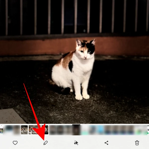 Gallery-사진-선택