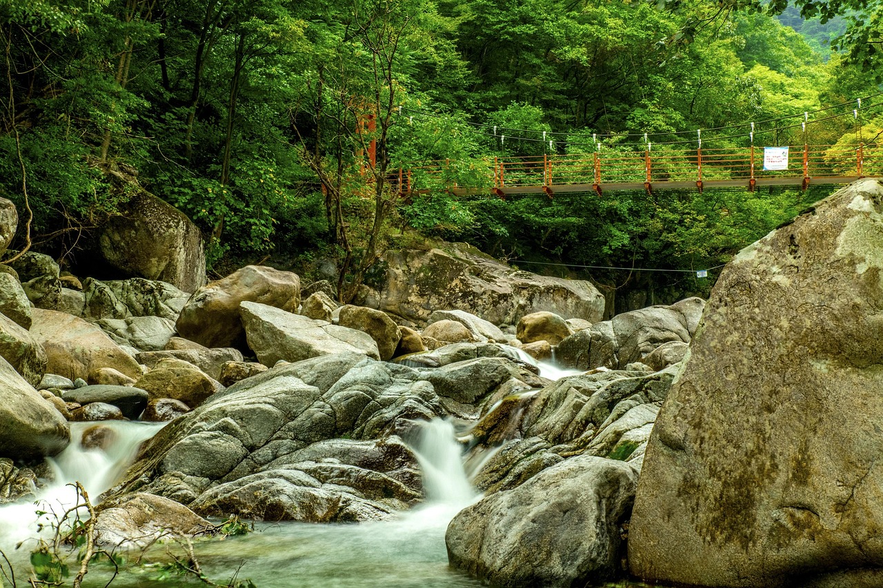 골짜기, 대한민국의 숲, 자연