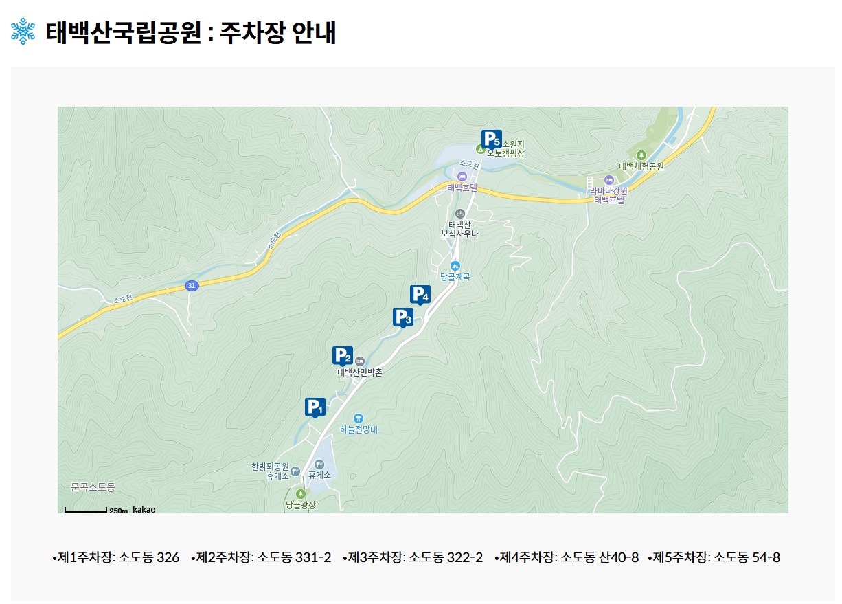 태백눈축제 주차정보