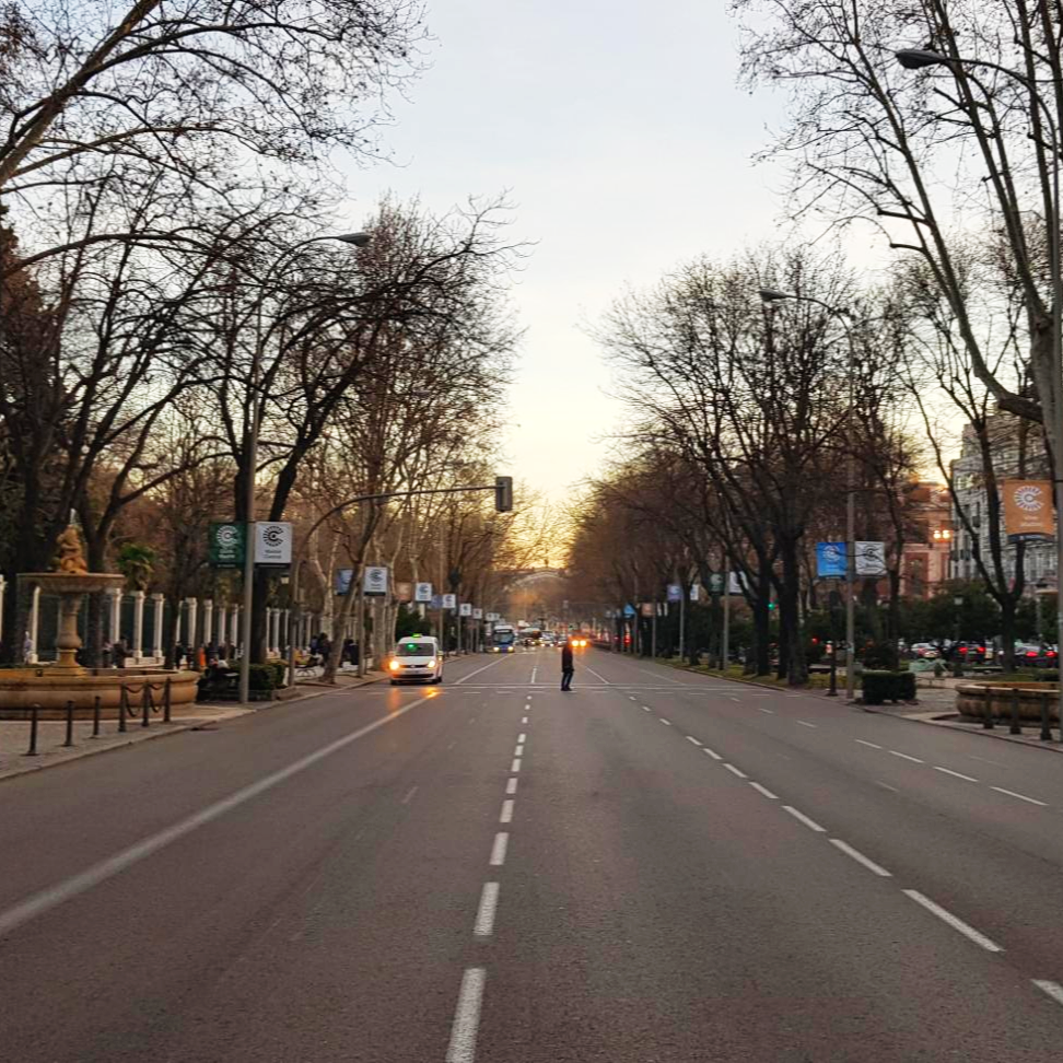 스페인 마드리드 노을지는 도로