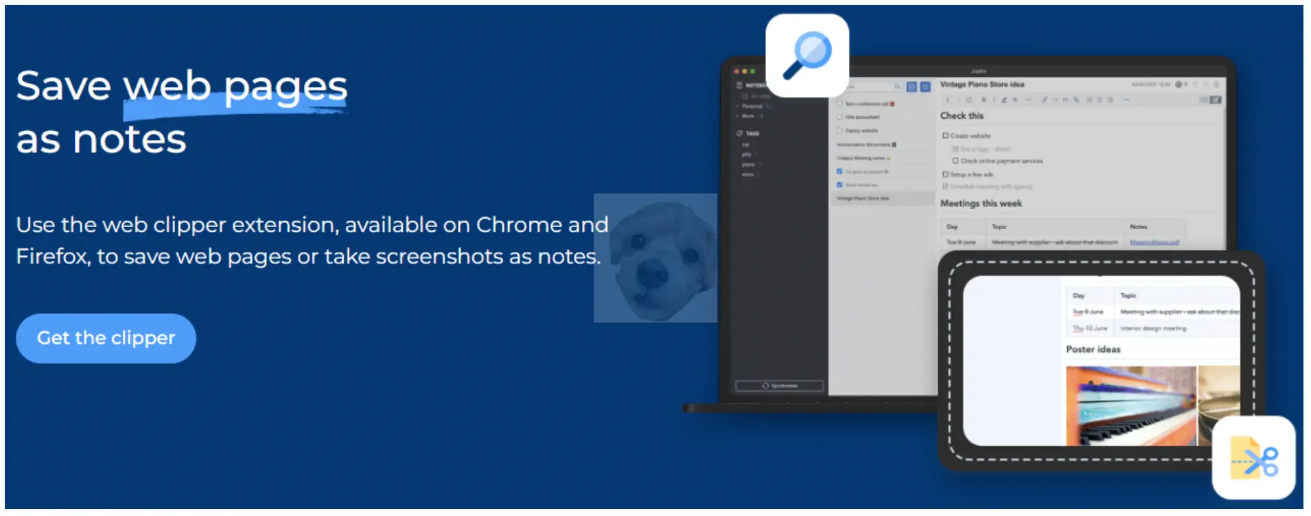 조플린 소개 사진