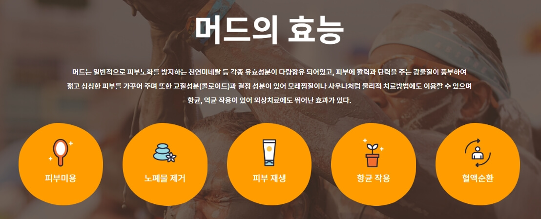 2024 대천 보령머드축제 이용요금 공연일정